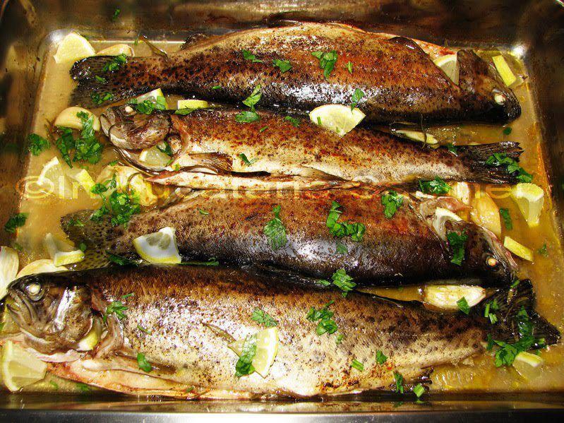 yamy - 9231531403037194870571301971726n.jpg